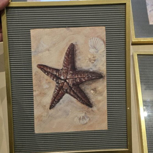Set of 4 Seaside Themed Frames used with broken glass