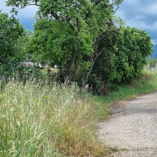 Land plot 3.5 acres in Parnassos with stunning view