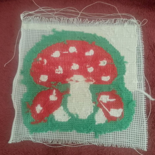 Mushroom embroidery used, 80% completed crochet on 40x40 cm canvas