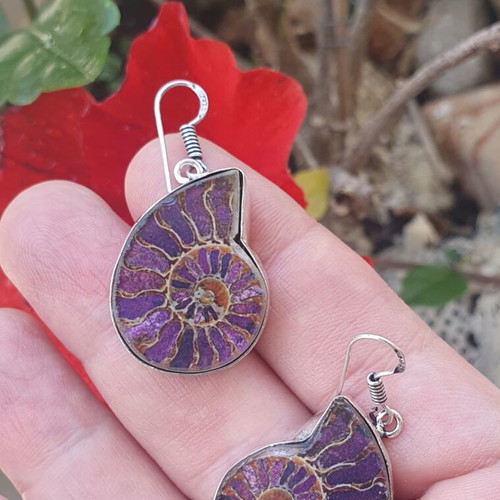 Silver Plated Earrings with Colorful Ammonite Design and Dichroic Glass