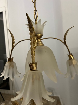 Ceiling light used