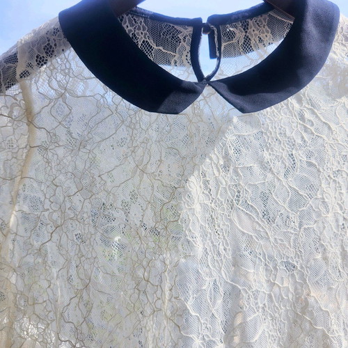 Sheer lace blouse with black Peter Pan collar like new