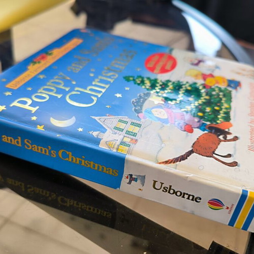 Poppy and Sam's Christmas book with puzzles