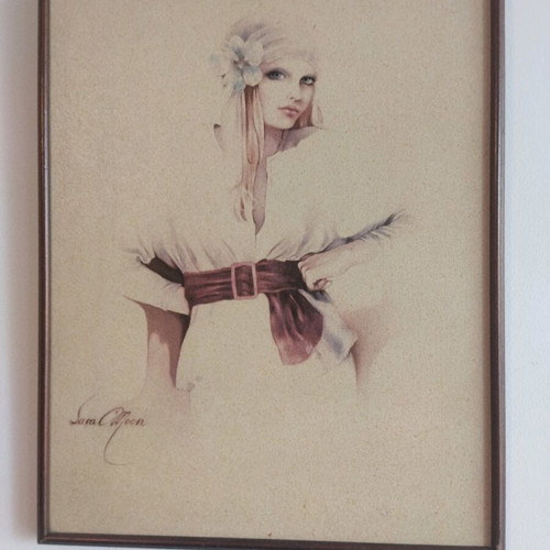 Framed art print like new, size 47x39 cm