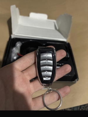 Car alarm new