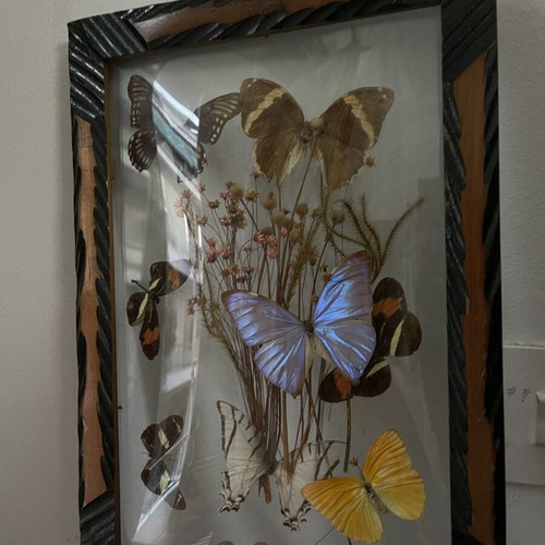 Vintage wooden frame with butterflies and dried flowers, antique wall art