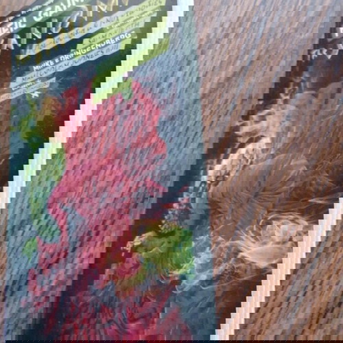 The Sandman - Βιβλίο 1