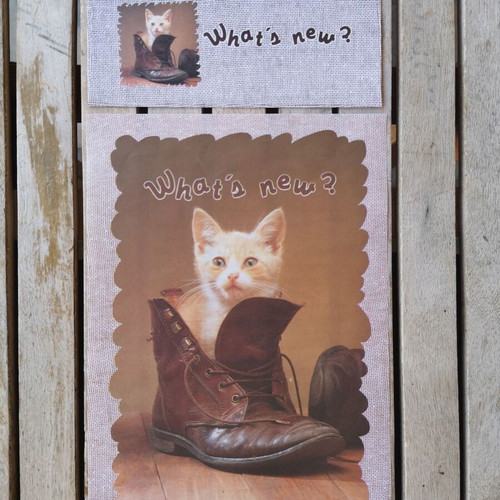 Letter set and envelope with kitten in shoe used