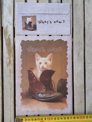 Letter set and envelope with kitten in shoe used