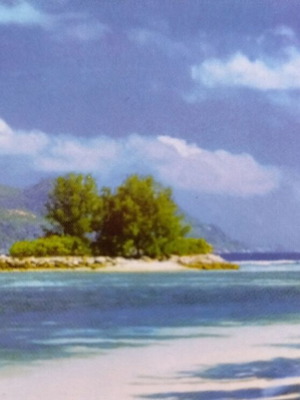 Seychelles Collectible Postcard new, exotic beach scene