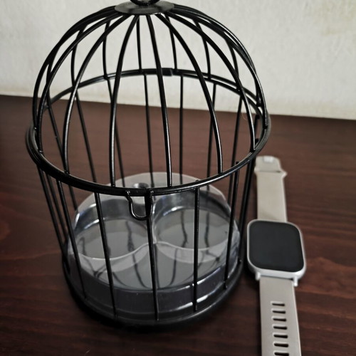 Decorative Candle Cage like new with plastic for 2 candles