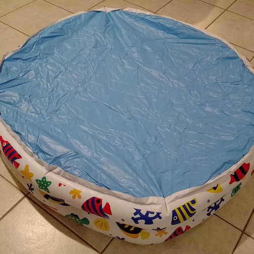 Inflatable children's pool with fish design used
