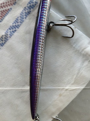 Savage Gear Deep Walker 70gr Bloody Anchovy