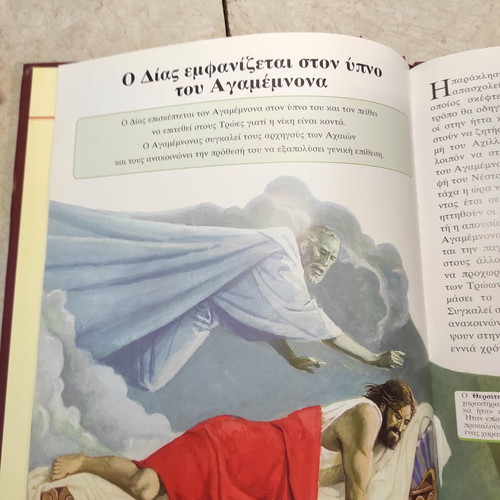 Iliad illustrated book like new