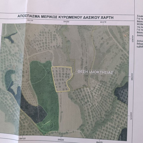Agricultural land olive grove 4.49 acres in Molycreio Nafpaktos