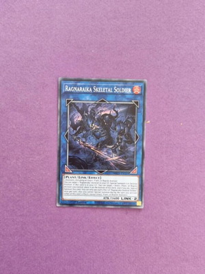 Ragnaraika Skeletal Soldier Yu-Gi-Oh! Card New