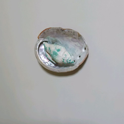 Abalone shell decorative fridge magnet