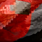  Φόρεμα καλοκαιρινό observe με σχέδιο στη πλάτη small