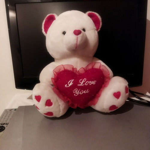 Plush teddy bear with heart