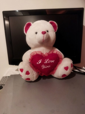 Plush teddy bear with heart