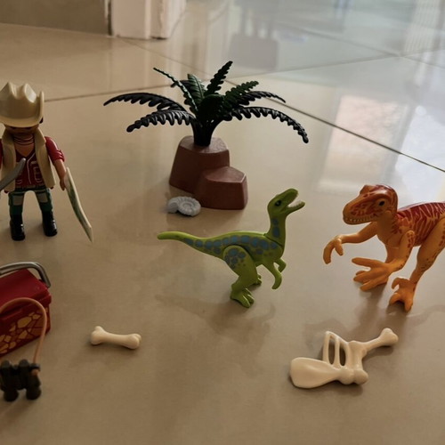 Playmobil Explorer and Dinosaurs like new
