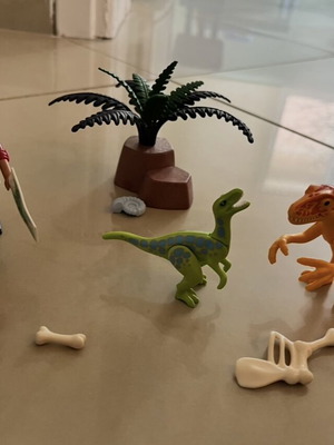 Playmobil Explorer and Dinosaurs like new
