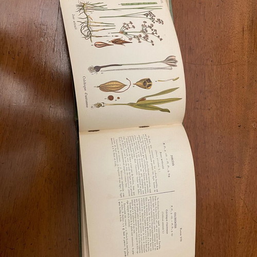 A.Masclef “Les Plantes d’Europe” βιβλίο φυτολογίας σαν καινούργιο, γαλλικά