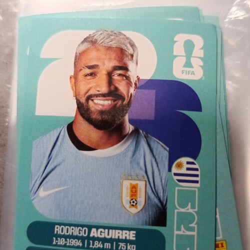 Panini FIFA World Cup 2026 Sticker like new