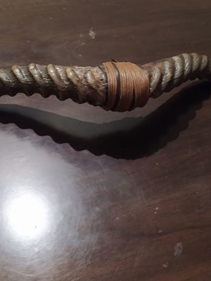 Antelope horns new, polished decorative pair
