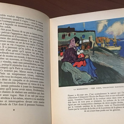 Picasso art book used, collectible French edition 1953 Skira