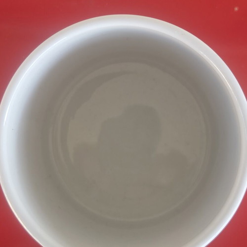 Starbucks Vintage Venti Mug 600ml like new, collectible