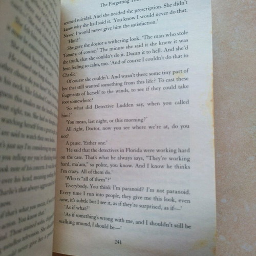 The Forgetting Time by Sharon Guskin used English book