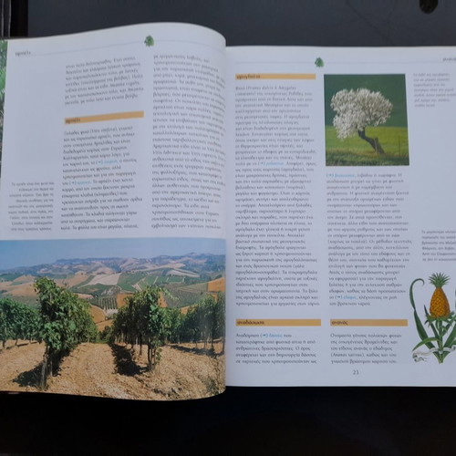 Book The World of Plants like new, large with thick cover