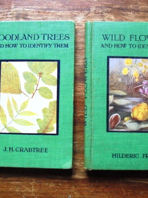 Field guides for wild flowers and trees used, pack of 2