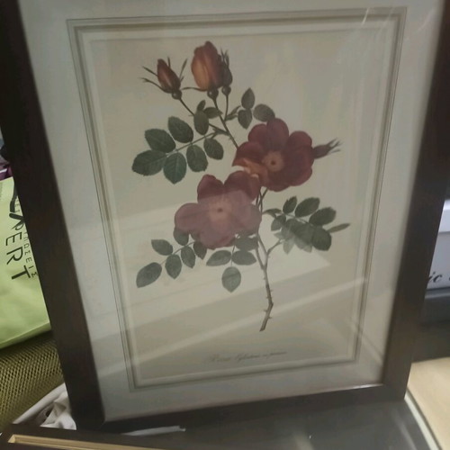 Vintage engravings like new