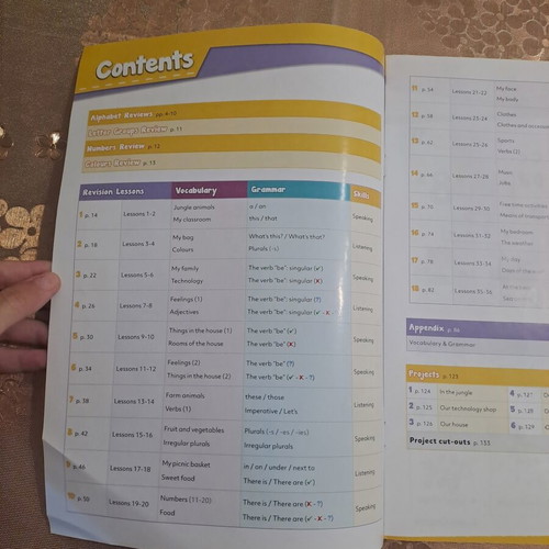 Hobbyville Junior A to B Teacher's Book new, English
