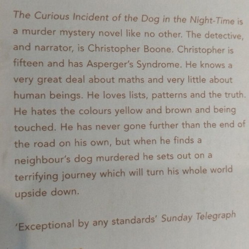 The Curious Incident of the Dog in the Night-Time book like new, English