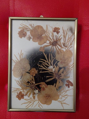Frame with dried flowers new, handmade work by Margarita Jordanova