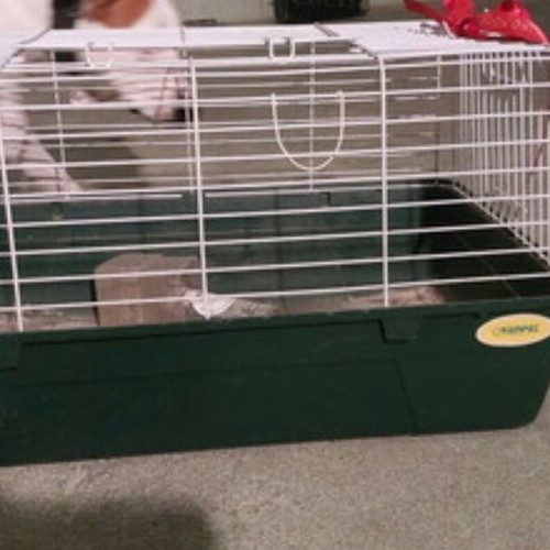 Rabbit cage used with waterer and feeder