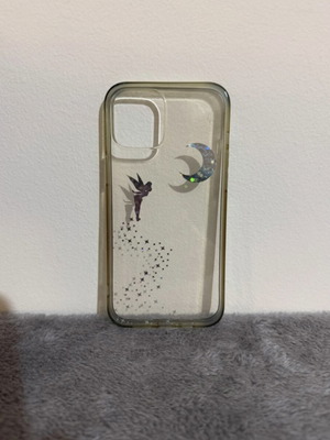 iPhone 12 Pro Max hard case