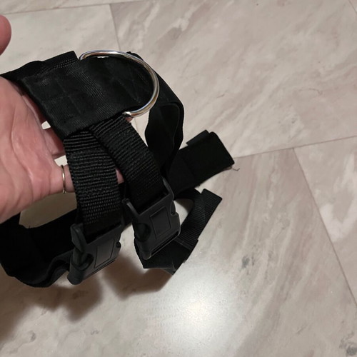 Dog Car Safety Harness XL with Free Metal Seatbelt Clip, new