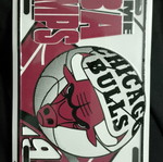Chicago Bulls license plate new