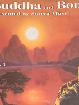 Buddha and Bonsai CD used, electronic