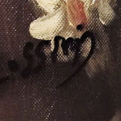 Rossini (Nymfi) canvas artwork like new with frame