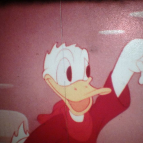 Donald Duck in the High Andes Super 8mm film used, silent, 200ft