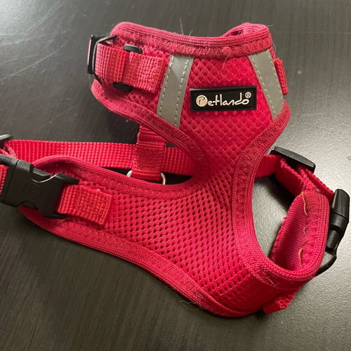 Petlando Mesh Vest used, red, size XS for small pets