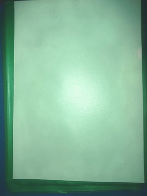 PP L-Type A4 Transparent Green Sleeves Pack of 10 Euro Office