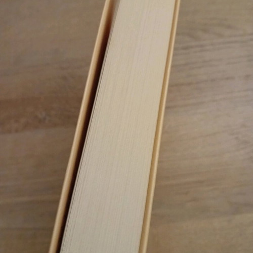 Paula Isabel Allende book like new