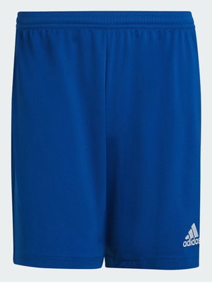 Adidas Performance Entrada 22 shorts small new, blue