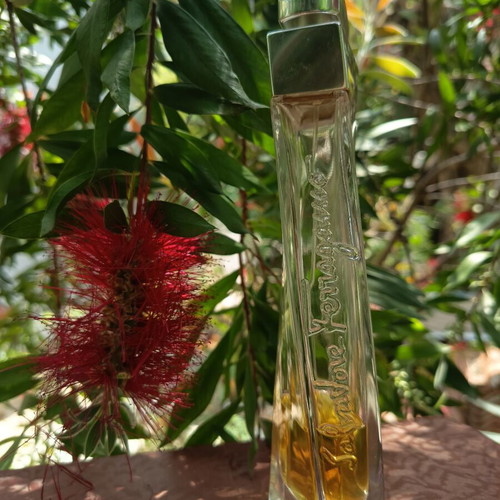 Salvatore Ferragamo pour Femme Eau de Parfum 100ml used vintage 2009